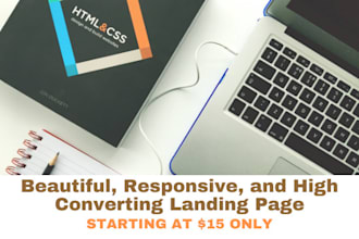 develop a professional landing page