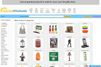 create a shopify or aliexpress dropshipping automated store