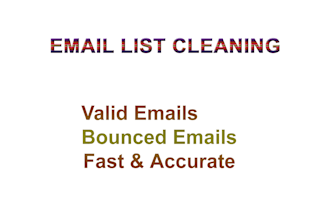 clean bulk email list and separate valid and bounced emails