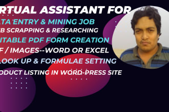 be your virtual assistant for data entry, data mining, web research and scraping