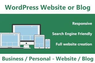 create a professional wordpress blog or business website