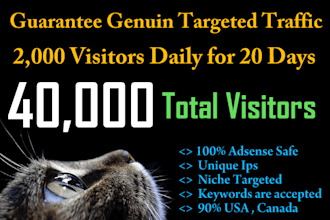 provide 40,000 traffic genuine way to your website