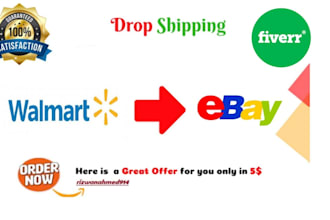 do walmart to ebay dropshipping