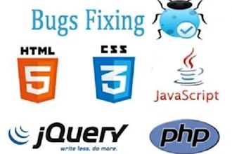 do bug fix related to web design and development