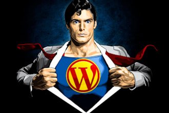 fix your WordPress Problem or Repair any issues with your WP blog