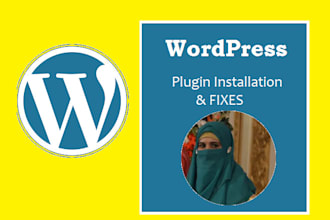 fix any wp issues, wp  plugin issue wp installation