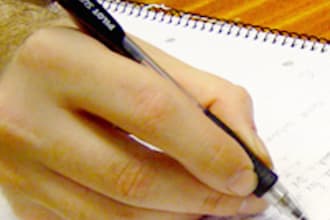 write 2 pages or 500 words of your essay