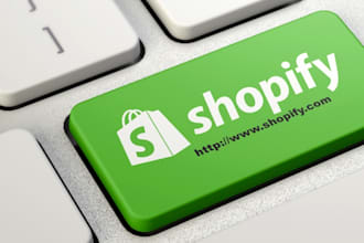 build a shopify ecommerce store