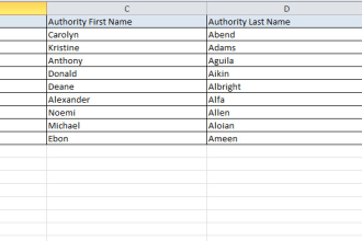 cpa, certified public accountant email list