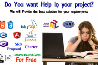 provide programming and documentation services