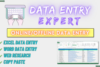 do excel data entry, web research, copy paste and typing