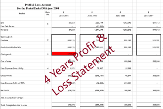 prepare balance sheet, profit and loss statement, and financial modelling