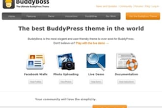 install wordpress,buddypress and customize your website