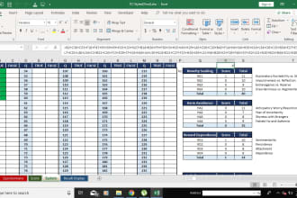 create custom excel spreadsheet with formulas and dashboard