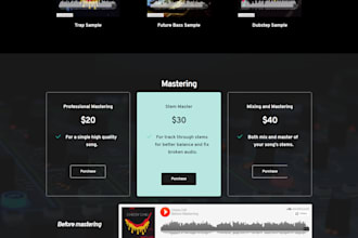 make you a wordpress website with or without e commerce