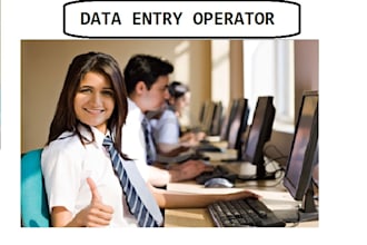 do professional data entry work