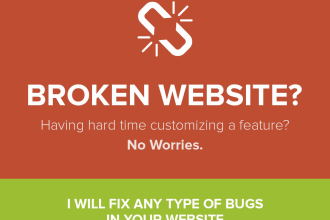 fix your website bugs