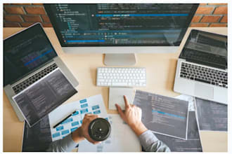 maintain, update, and optimize your website