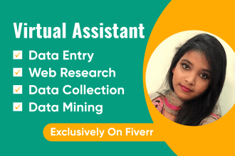 be your  virtual assistant for data entry, data mining, copy paste, web research