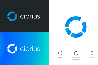 create professional minimalist, modern company logo design