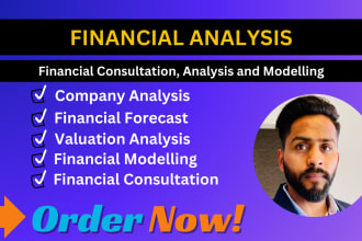 provide financial analysis, project report, ratio analysis, accounting