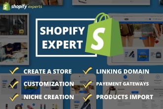 create professional dropshipping shopify store website
