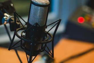 provided a voiceover for audiobooks, games, commercials, etc