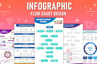design infographic workflow diagram, pie chart, layouts in 12hrs