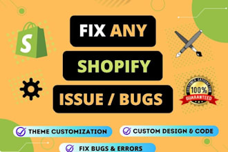 do any custom code in shopify