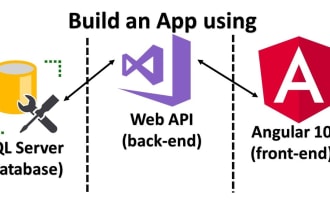 develop website with dot net core and angular 10