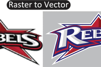make any low res file to vector create printable vector from any image or scan