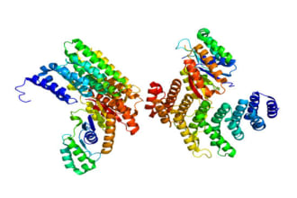 do bioinformatics analysis related to computational drug design