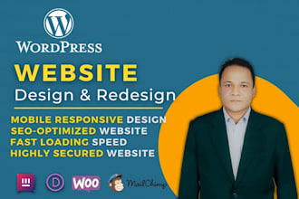 build wordpress website or blog for your business