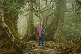 write travel and adventure stories for you
