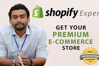 build a premium pod shopify website with a premium theme
