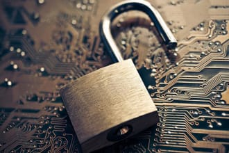 do penetration testing of your website with detailed report
