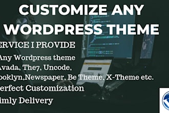 customize any wordpress theme, fix wp bugs, errors, and issues