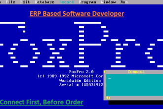 develop foxpro based erp business applications