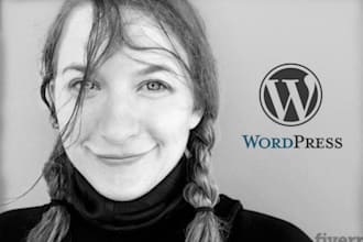 give you a professional Wordpress tutorial over Skype