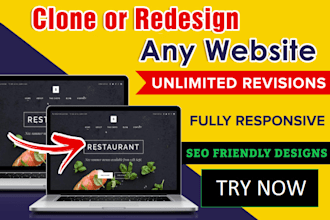 clone re design website,wordpress,laravel  multiple revisions