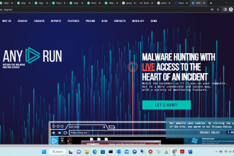 help you dynamic and static malware analysis