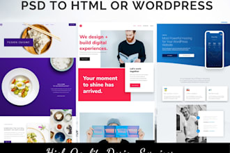 design or clone wordpress website design