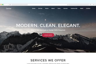 build you a modern wordpress website