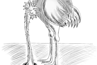 do free style illustrations of anything for you