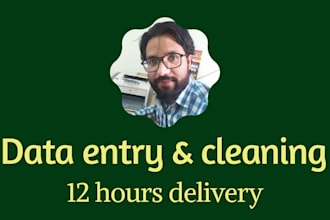 do data entry, web search, scrapping and typing