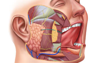 design medical and scientific illustration
