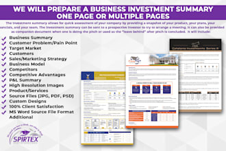 prepare a business investment summary