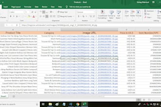 complete any type of data entry work