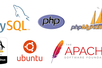 setup apache or nginx server on your linux vps
