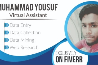 do excel data entry, web research, copy paste, web scraping, and data mining